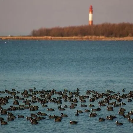 Appartement In Auf Fehmarn Orth